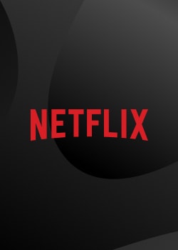 Netflix eGift $300